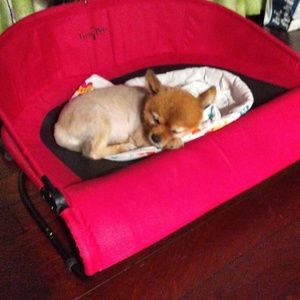 Meet your Posher, Ivan